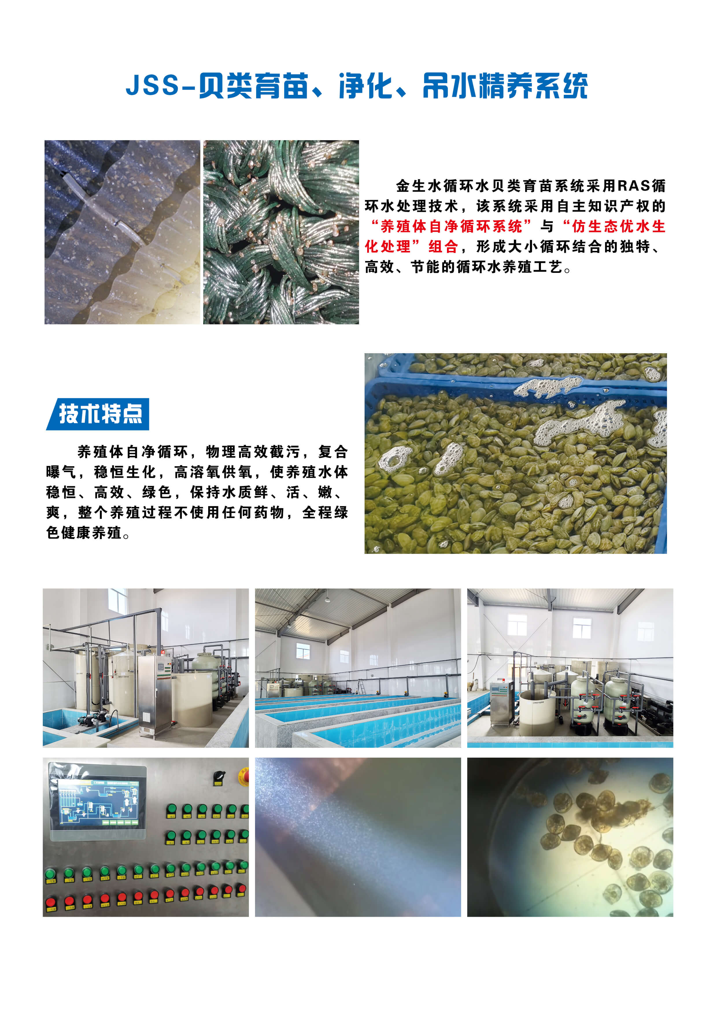 JSS-贝类育苗净化吊水精养系统 .jpg
